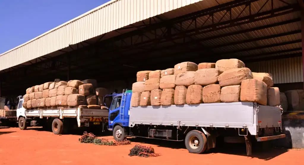 Tobacco Transportation Brokerage